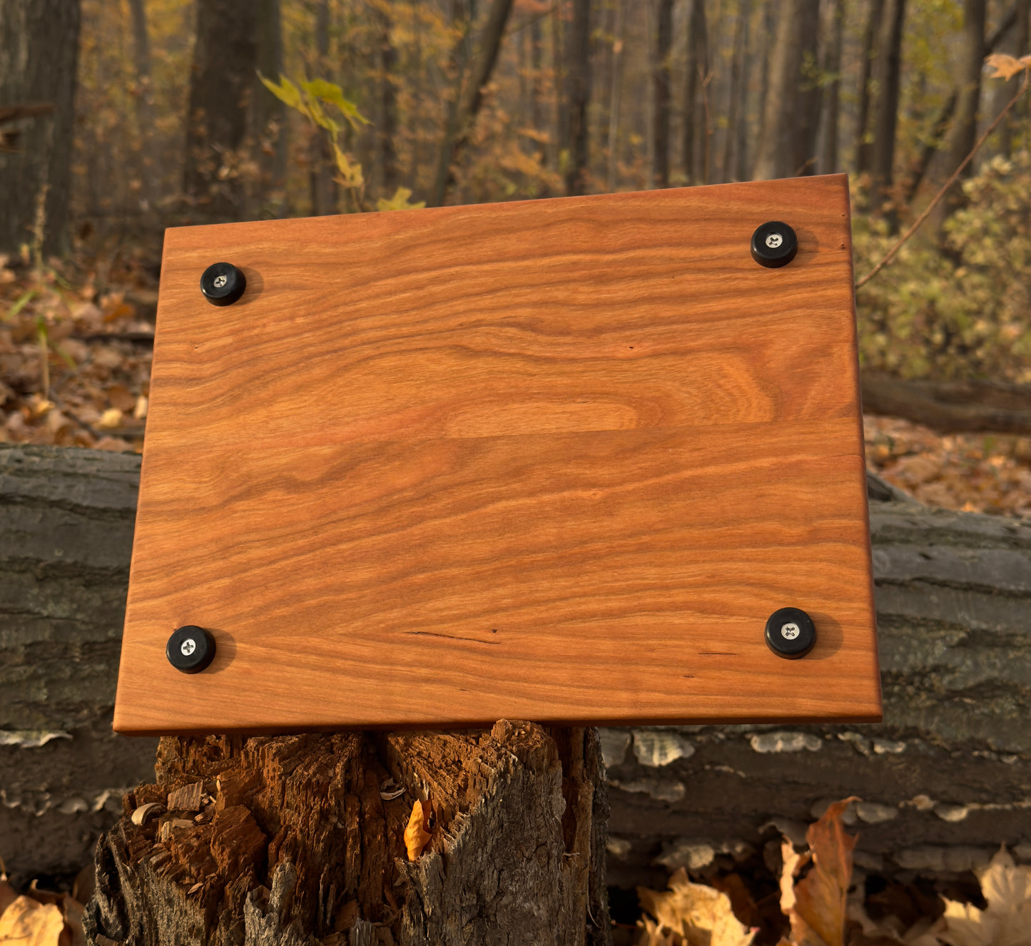 Cutting Board